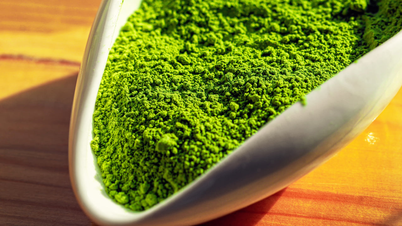 Is Matcha Good for You? The Benefits of Drinking Matcha