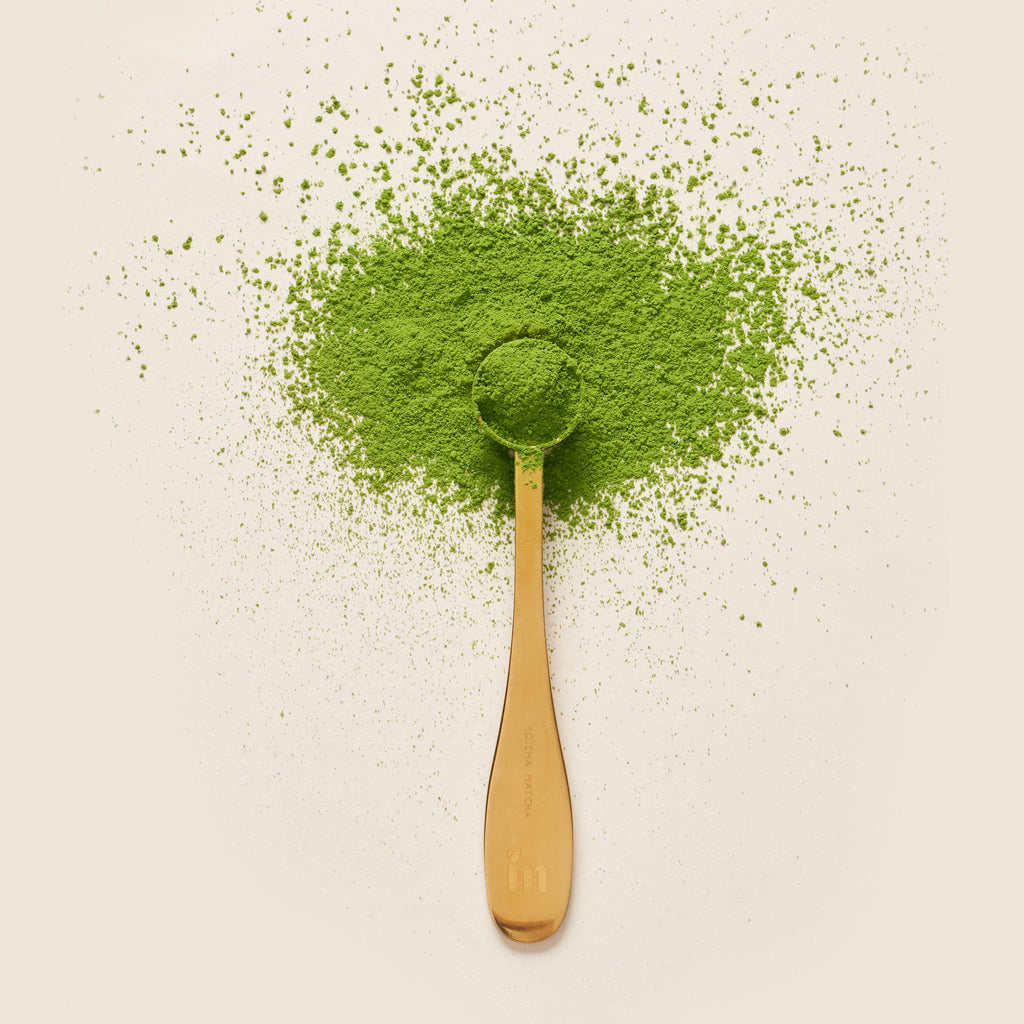Premium Ceremonial 500g Moicha Matcha London